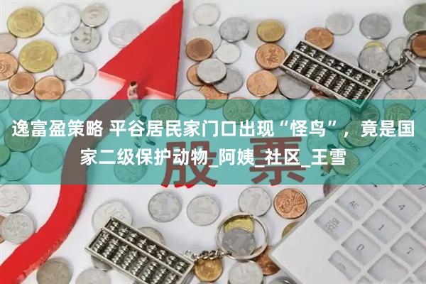 逸富盈策略 平谷居民家门口出现“怪鸟”，竟是国家二级保护动物_阿姨_社区_王雪