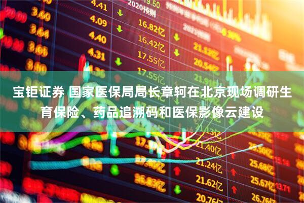 宝钜证券 国家医保局局长章轲在北京现场调研生育保险、药品追溯码和医保影像云建设