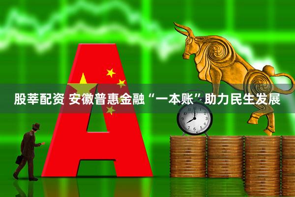 股莘配资 安徽普惠金融“一本账”助力民生发展