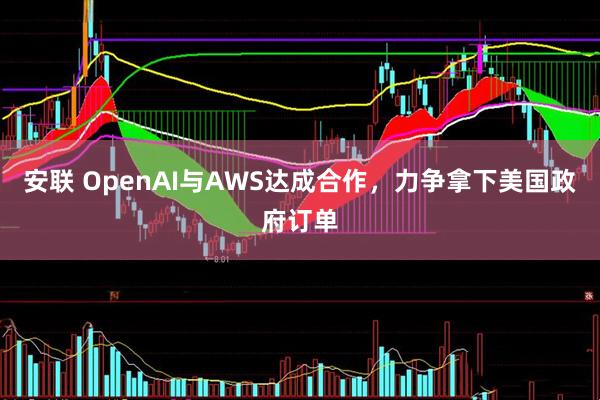 安联 OpenAI与AWS达成合作，力争拿下美国政府订单